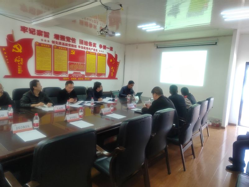 盐边评审汇报会 盐边评审汇报会