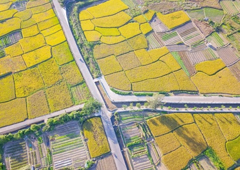 ��ɽ��̨ũ�弯�徭Ӫ�Խ����õ���������