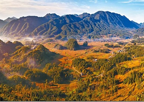 ���У�����ģʽ�ƽ�ũ�弯�徭Ӫ�Խ����õ����� 