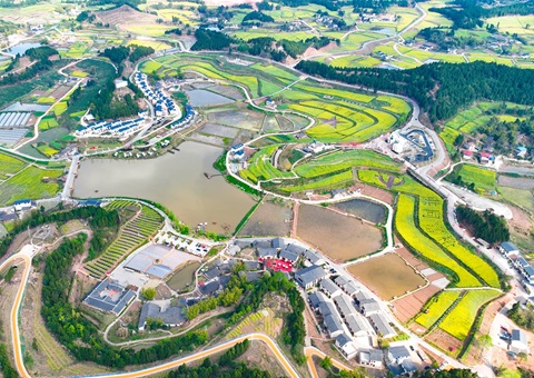 ���������������������õذ��ܿ�������