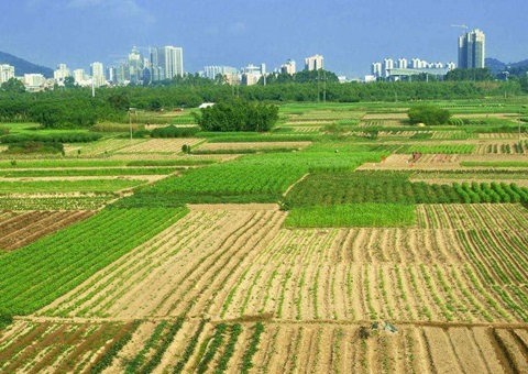 ����ʡ������������17.81��Ķ&nbsp;&nbsp;�ջ������ȫ����һ