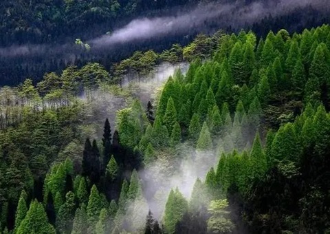 �Ĵ��ƽ���ˮƽ����ȫ����ɭ���Ŀ⡱����ʾ��ʡ����