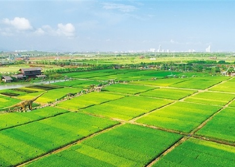 ���϶�ٴ롰��Դ����������ָ��