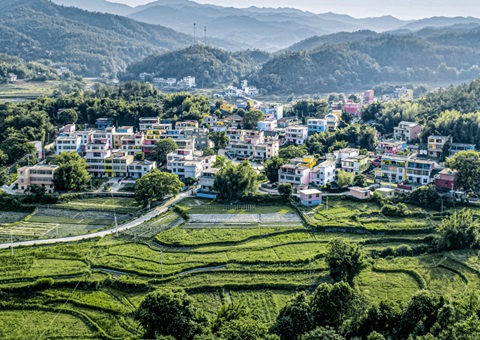 ����ʡʵ��ȫ���������ɿ�Ȩ+���彨���õ�ʹ��Ȩ����Ϲ�Ӧ