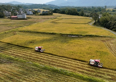 ���Ǹ��з��ӡ������ۺ�����+��ЧӦ&nbsp;&nbsp;����������˻���