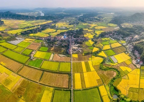 ����ʡ��Ȼ��Դ������һ����������õذ��ܹ淶