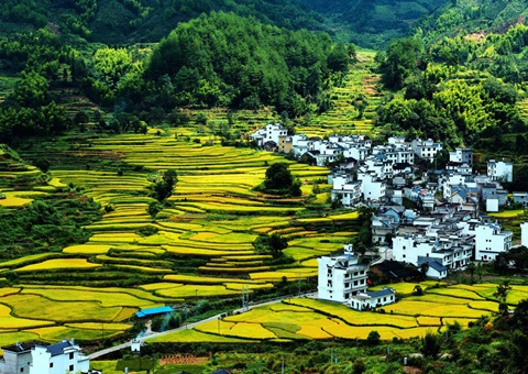 �����й�������徭Ӫ�Խ����õ������Ե�˳�����