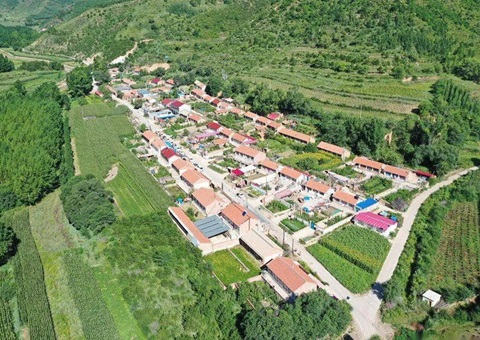 �ӱ��������������Ȩ�ҺŽ������Ӧ��