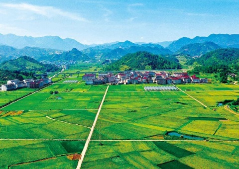 ��������ʵ�������ۺ����ζ�ԪͶ����ģʽ<br>����Ͷ������ ��Ŀ�ʽ����� ����ʱ����� ֧�����߼���