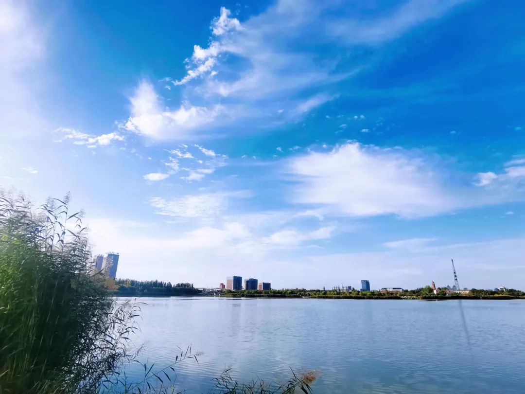 ΢ÐÅͼƬ_20241209110845 ΢ÐÅͼƬ_20241209110845