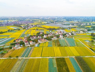 �����ۺ�����