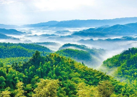 ���Ĵ�ʡ�����ռ�ƻ���2021��2035�꣩��ӡ��