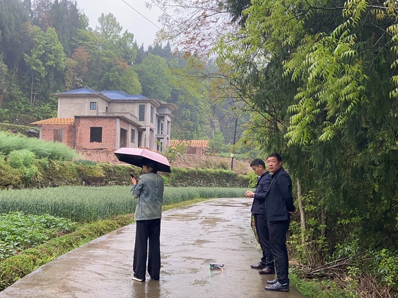 ����̤��