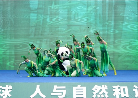 �Ĵ�ʡ��55������������ա�����������������ʽ���Ű�����