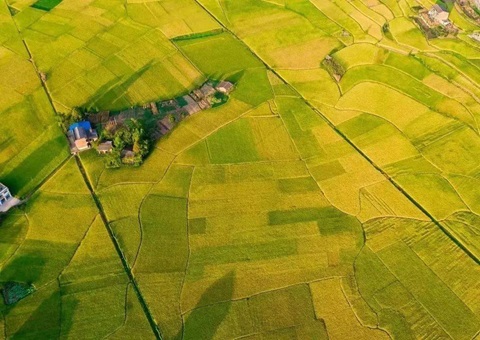 �Ĵ�ʡ�������û���ũ�ﴢ����������������