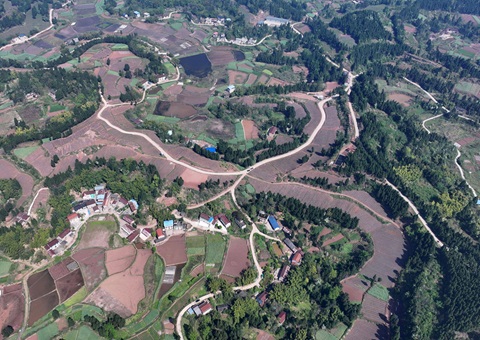 �ڽ��ж�������ȫ�����ø��ر��� ȫ�������õذ���