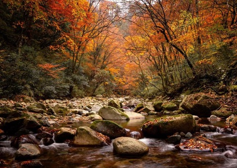 ���й���ɽ��ŵˮ��������ʹ�԰�����й�������ʹ�԰����20��������˶�