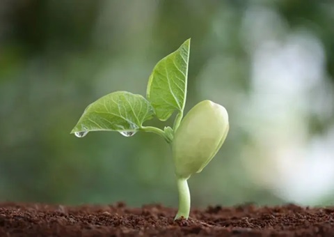 �Ĵ�ʡ��������ͬ����У��ݣ����ص��ϸ�����������⳥��׼