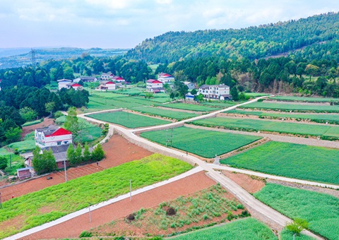 ��Ԫ�����С������ﳤ���Ƽ�������׼��������