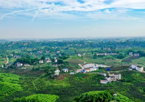 2024����Ĵ�ʡ�ص�������Ȼ��ԴͳһȷȨ�Һ���Ŀ����