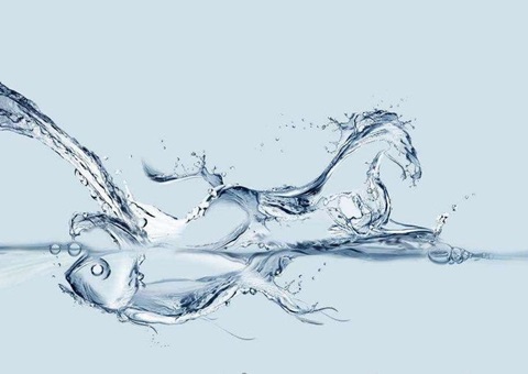 ����ʡʵ��ȫ���׸�Һ�����Ȼ��ԴȷȨ�Һ�