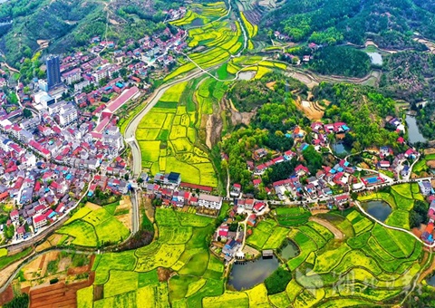 �������ɽ����»�����ȫ�������ۺ�����Ϊ�������ȫ�����˸���