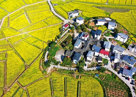 205.7��Ԫ��&nbsp;&nbsp;�Ĵ������´�2025���ν��ƽ�������˲����ʽ�