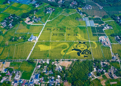 成都颁布耕地；す婊〗10年这样筑牢“天府粮仓”根基