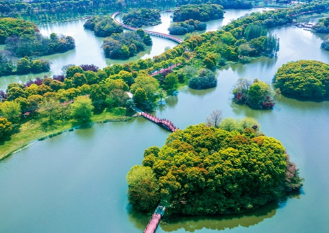 ����ʡʪ�ر������Ѵ�61.99%