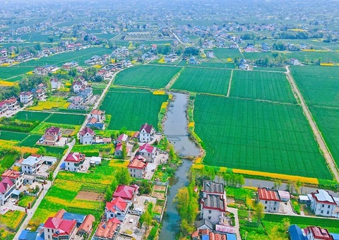 ��ͨ�оֽ�����������ơ�ȫ��������������õ�����