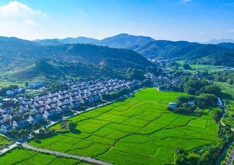 �����ƶ���������ͳһ�����õ��г�&nbsp;&nbsp;Ҫ�ذ��ܶ�㷢��������������