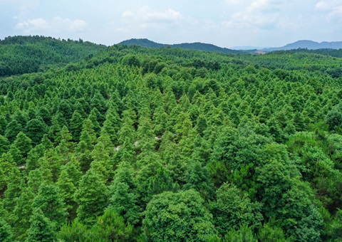 ���2024����Ȩ��ת���׶��21.36��Ԫ