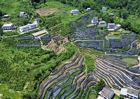 重庆首个林业生态产品价值核算成就利用落地