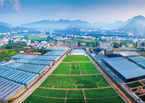 �������ݳ�ַ��Ӽƻ���������Ч��������ˡ��������ƻ�������������ͷ