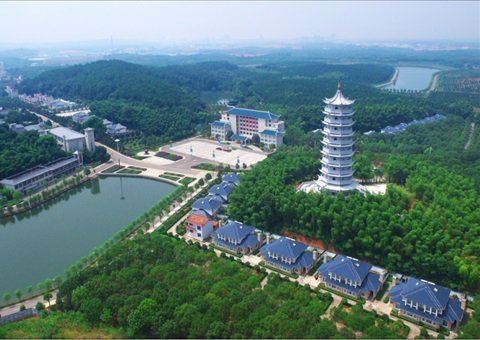 湖北：用好“一张图” ，智治有支持