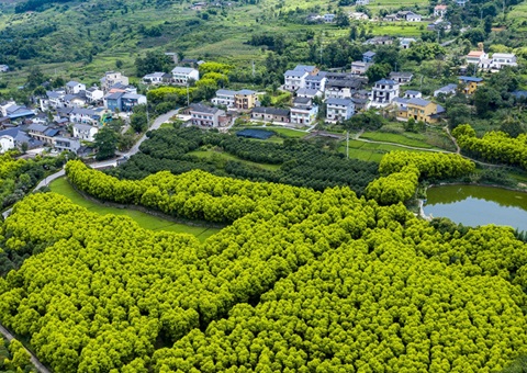 重庆村落休闲游览形成点线面立体式发展&nbsp;&nbsp;建设全国休闲农业重点县8个、中国俏丽休闲村落90个