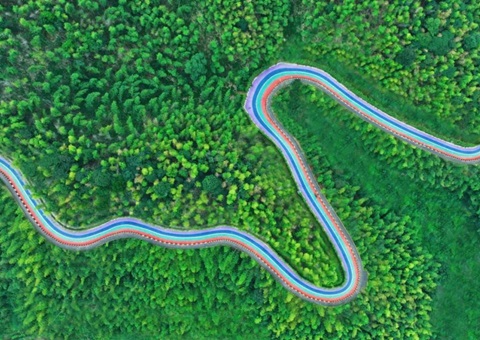 组合供给出新招，竹海收益节节高——桃江县“桃花江竹海”天然资源资产组合供给推动生态产品价值实现案例