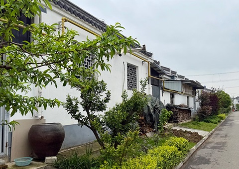 湖北沙洋：全域地皮整治让“一处美”变“一片美”