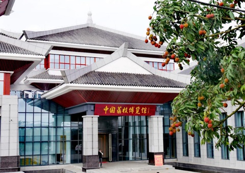 那曲高州：“建设用地+水域+农用地+构筑物”组合供给项目落地